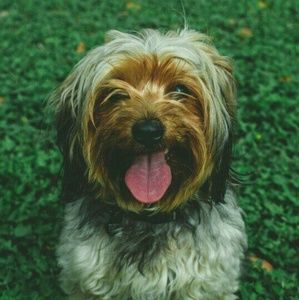 Meet your Posher, Mark